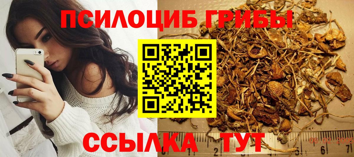Лесозаводск  Псилоцибиновые грибы Cubensis  Вход с VPN 