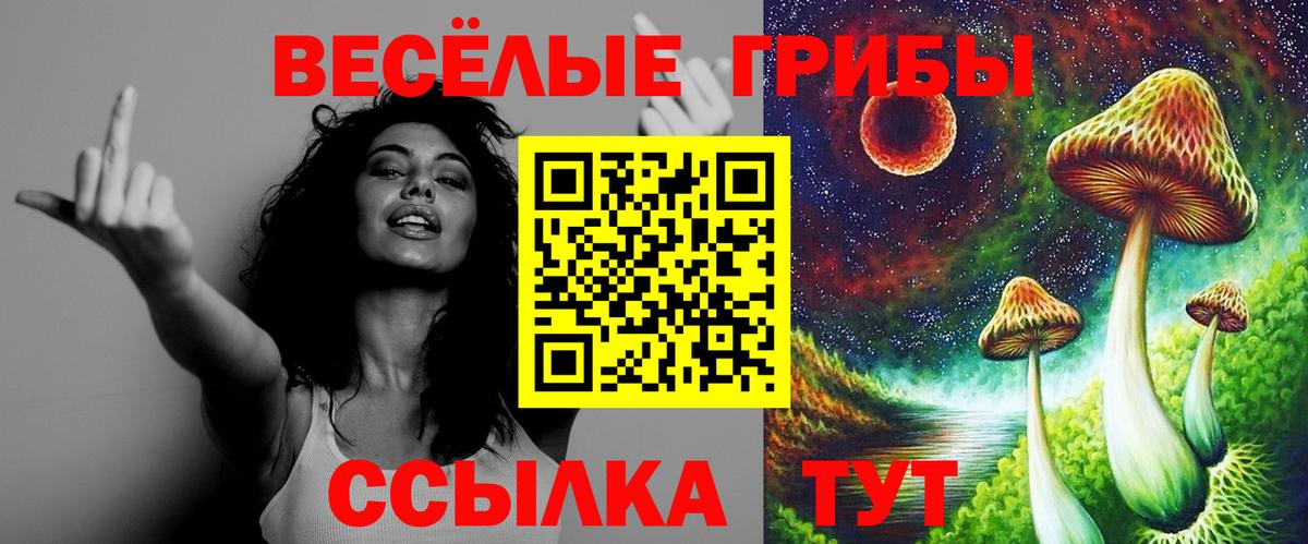 Псилоцибиновые грибы Psilocybe Лесозаводск